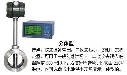 顯示型渦街流量計(jì)分體型產(chǎn)品特點(diǎn)圖